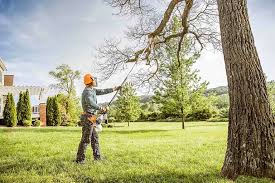 How Our Tree Care Process Works  in  Hurley, MS